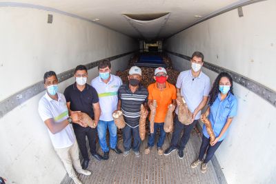 Prefeito Eduardo Braide acompanha entrega de 28 toneladas de mandioca de pequenos produtores de São Luís para a Ambev  