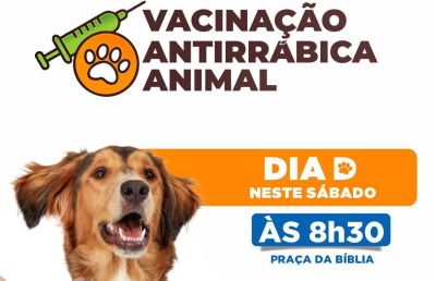 notícia: Prefeitura de São Luís inicia campanha de vacinação de cães e gatos contra a raiva